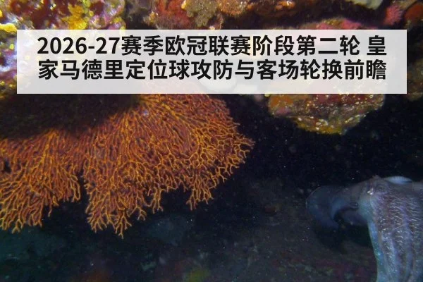 2026-27赛季欧冠联赛阶段第二轮 皇家马德里定位球攻防与客场轮换前瞻
